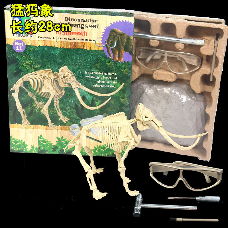 Archaeological Fossil Digging Set