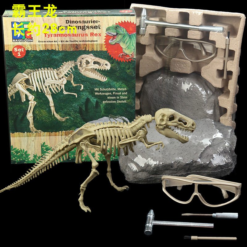 Archaeological Fossil Digging Set