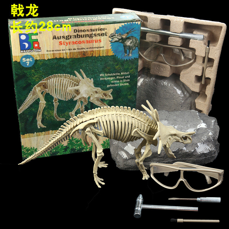 Archaeological Fossil Digging Set